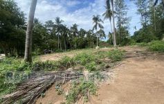 660 sqm of Garden View Land at Lamai